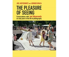 KNYGA Joel Meyerowitz Pleasure of Seeing
