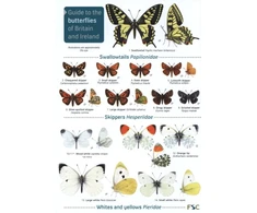 KNYGA John Bebbington Guide to the butterflies of Britain and Ireland
