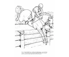 KNYGA John Big Book of Horses to Color