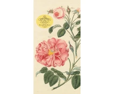 KNYGA John Derian Paper Goods: Everything Roses Notepad