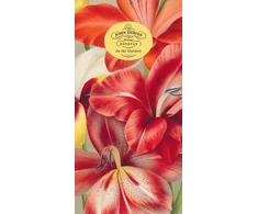 KNYGA John Derian Paper Goods: In the Garden 80-Page Notepad