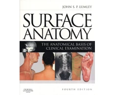 KNYGA John Surface Anatomy