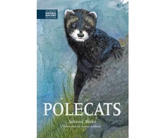 KNYGA Johnny Birks Polecats