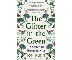 KNYGA Jon Dunn Glitter in the Žalias