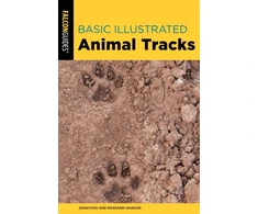 KNYGA Jonathan Hanson Basic Illustrated Animal Tracks