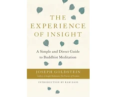 KNYGA Joseph Goldstein Experience of Insight