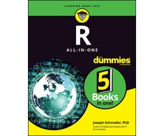 KNYGA Joseph Schmuller R All-in-One For Dummies