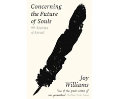 KNYGA Joy Williams Concerning the Future of Souls, Ninety-Nine Stories of Azrael