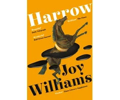 KNYGA Joy Williams Harrow