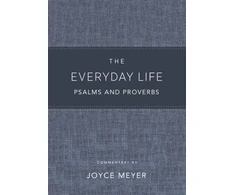 KNYGA Joyce Meyer Everyday Life Psalms and Proverbs, Platinum
