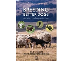KNYGA Julie T Cecere Breeding Better Dogs