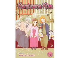 KNYGA Julietta Suzuki Kamisama Kiss, Vol. 17