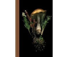KNYGA Julya Hajnoczky Deep Dark Forest Mushroom Journal