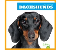 KNYGA Kaitlyn Duling Dachshunds
