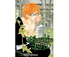 KNYGA Kanoko Sakurakji Juodas Bird, Vol. 12