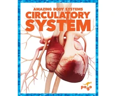 KNYGA Karen Latchana Kenney Circulatory System