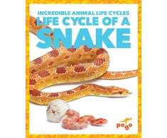 KNYGA Karen Latchana Kenney Life Cycle of a Snake