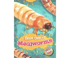 KNYGA Kari Schuetz Mealworms