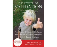 KNYGA Karyn D Hall Power of Validation