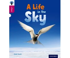 KNYGA Kate Scott Oxford Reading Tree inFact: Level 10: A Life in the Sky