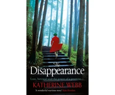 KNYGA Katherine Webb Disappearance