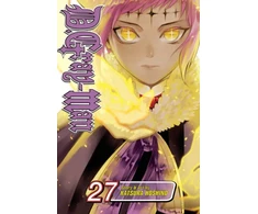KNYGA Katsura Hoshino D.Gray-man, Vol. 27