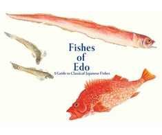 KNYGA Kazuhiko Tajima Fishes of Edo
