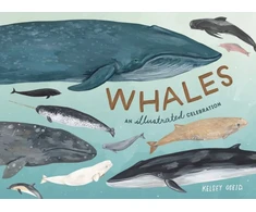 KNYGA Kelsey Oseid Whales
