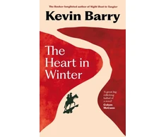 KNYGA Kevin Barry Heart in Winter