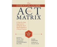 KNYGA Kevin L Polk Essential Guide to the ACT Matrix