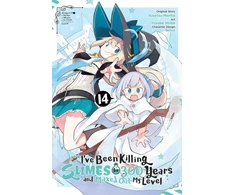 KNYGA Kisetsu Morita I've Been Killing Slimes for 300 Years and Maxed Out My Level, Vol. 14 (manga)