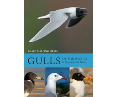 KNYGA Klaus Malling Olsen Gulls of the World