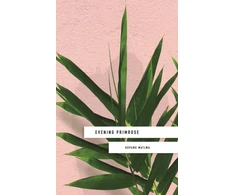 KNYGA Kopano Matlwa Evening Primrose: a heart-wrenching novel for our times