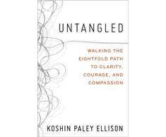 KNYGA Koshin Paley Ellison Untangled