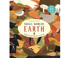 KNYGA Lara Hawthorne Small Worlds: Earth