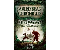 KNYGA Lari Don Maze Running and other Magical Missions