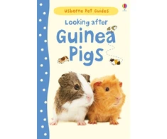 KNYGA Laura Howell Looking after Guinea Pigs