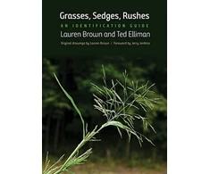 KNYGA Lauren Brown Grasses, Sedges, Rushes