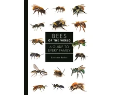 KNYGA Laurence Packer Bees of the World