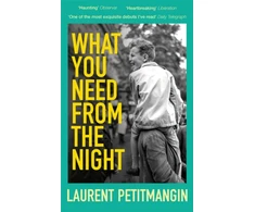 KNYGA Laurent Petitmangin What You Need From The Night