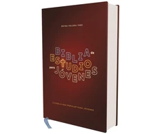 KNYGA Lawrence O Richards RVR60, Biblia de Estudio para Jovenes Adolescentes, Tapa dura, Palabras de Jesus en Rojo, Comfort Print