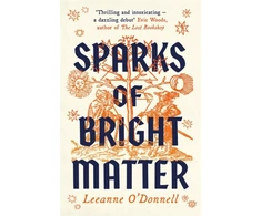 KNYGA Leeanne Odonnell Sparks of Bright Matter
