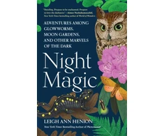 KNYGA Leigh Ann Henion Naktinė magija