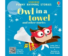 KNYGA Lesley Sims Owl in a towel and other stories