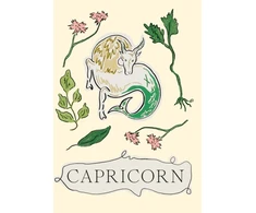 KNYGA Liberty Phi Capricorn