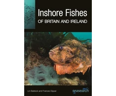 KNYGA Lin Baldock Inshore Fishes of Britain and Ireland