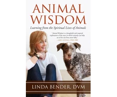 KNYGA Linda Bender Animal Wisdom