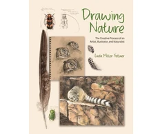 KNYGA Linda Miller Feltner Drawing Nature