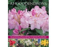 KNYGA Linden Hawthorne Rhododendrons