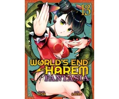 KNYGA Link World's End Harem: Fantasia Vol. 13